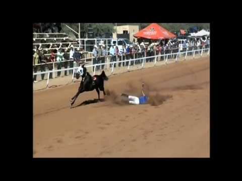 Accidentes de caballos fatales