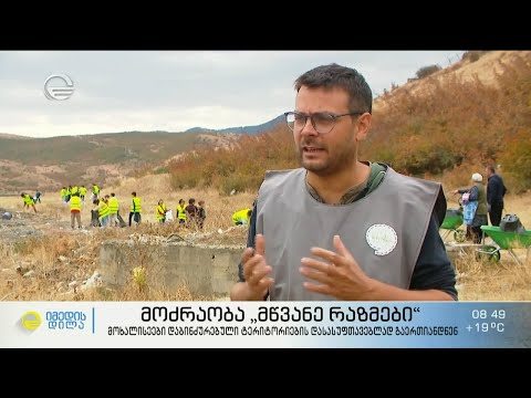 მოძრაობა „მწვანე რაზმები“ - მოხალისეები დაბინძურებული ტერიტორიების დასასუფთავებლად გაერთიანდნენ
