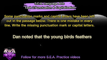 S.E.A. Language Arts Task 2:Punctuation & Capitalization
