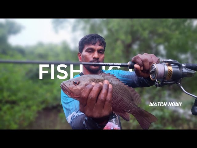 fishing in saltwater, fishing video, खाडी मध्ये fishing rod ने केली fishing