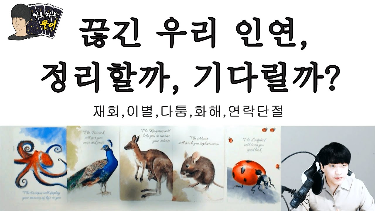 (타로)그 사람이 나에게 말하고 싶은 말들