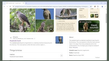 how to check broken links