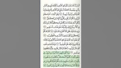سورة الحج - من الآية 60 حتى الآية 78 آخر السورة