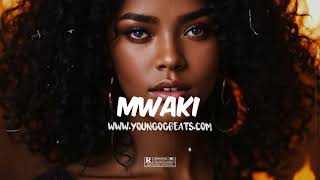 "MWAKI" - Afrobeat Instrumental 2024 x Ayra Starr x Omah Lay x Emotional x Afro Pop Type Beat