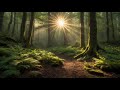2 Hours Deep Forest Music for ADHD | Deep Focus &amp; Nature Ambience