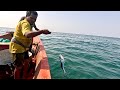 Catching Queen Fish, Needle Fish &amp; Horse Mackerel in the Sea