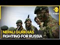 Role of nepali gurkhas in russiaukraine war  wion pulse