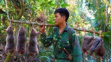 Life alone in the wild, wildlife tracks, traps, meals in the forest, green forest life, survival