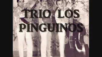 Trio Los Pinguinos - Quererte a ti