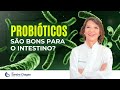PROBIÓTICOS SÃO BONS PARA O INTESTINO?