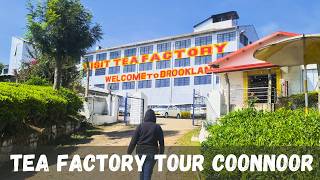Brooklane Tea Factory Coonoor | Inside the Oldest Tea Factory in Nilgiris 🍃☕