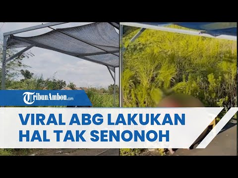 Viral Video Pasangan ABG Terekam Lakukan Hal Tak Senonoh di Halaman Rumah Warga