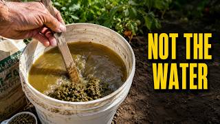 Grandma Soaked This Cheap Animal Feed Overnight Her Garden Got the Benefits