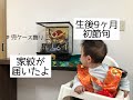 【生後9ヶ月で初節句】五月人形、兜ケース飾り、陣羽織Japanese childrenday  일본 어린이날 .9 개월