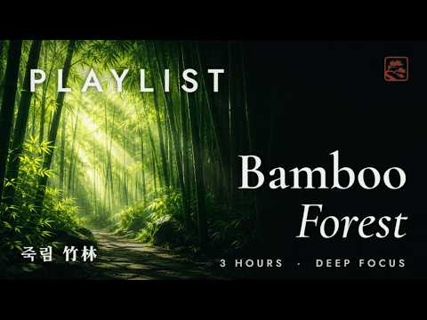 Bamboo Forest Ambience 🎋 3 Hours of Korean Zen Music for Deep Sleep, Calm & Focus