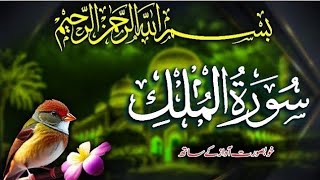 Surah Mulk with Urdu translation | Beautiful Quran Recitation | Quran with Urdu-Hindi Translation screenshot 5