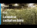 Le rseau albanais faisait pousser son cannabis dans un petit village franais