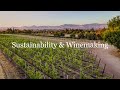 How We Farm Sustainably – Biodiversity, Bluebirds & Balanced Wine | Lyons Vineyard
