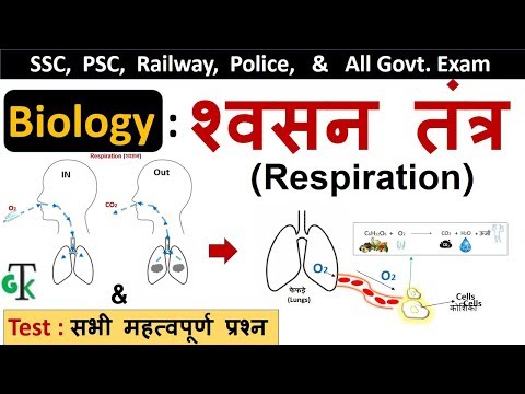 वीडियो: क्रिस्टी स्वानसन: जीवनी, रचनात्मकता, करियर, व्यक्तिगत जीवन