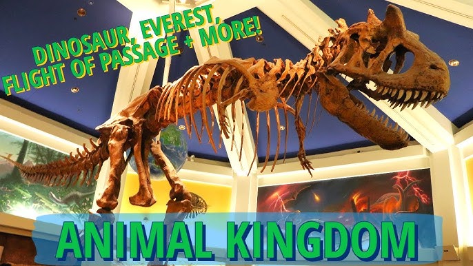 5 Broken Effects Inside Dinosaur at Disney's Animal Kingdom - Parkeology