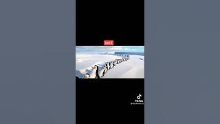pinguin bansos bangk3 😅😅😅😅| black smile000 #pinguinbansos #madagascar #lawak #tiktok