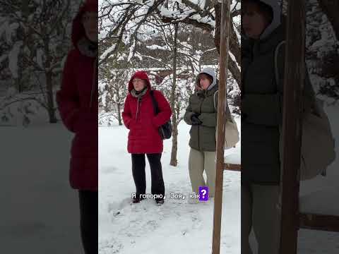 Когда тёща привезла