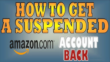 Amazon Seller Account Suspended: Appeal Letter and Plan of Action