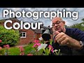 Photographing colour in my back garden -  creativity challenge