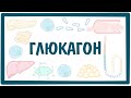 ГЛЮКАГОН - строение, свойства, функции