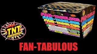 FAN-TABULOUS - TNT Fireworks® Official Video