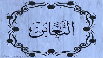 الشيخ توفيق الصائغ  - سورة التغابن