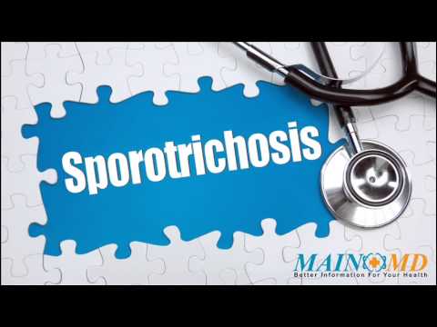 स्पोरोट्रीकोसिस उपचार और लक्षण