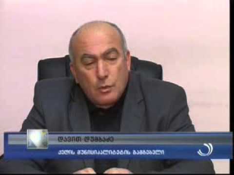 საპროტესტო აქცია სოფელ გოგიაშვილებში