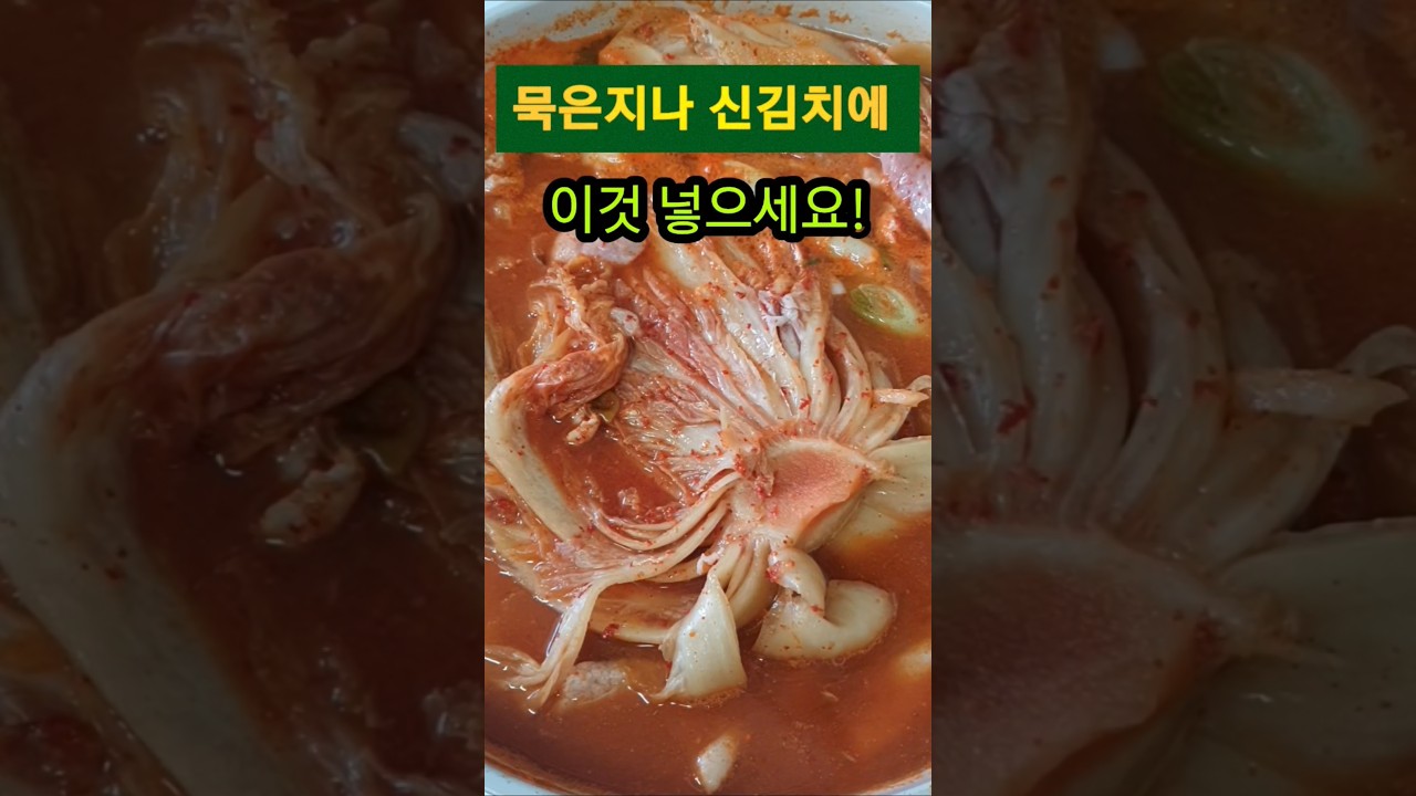 묵은지 신김치에 된장 한 스푼 넣으면 밥도둑 김치찜 완성! 레시피 숏폼 썸네일