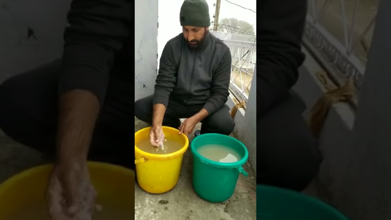 How to take care of your bees. Daily Inspection of Honey Bees.Domana Jammu