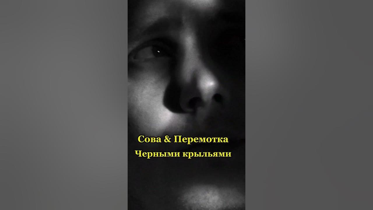 Сова в памяти навечно. Сова в памяти навечно