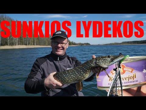 Video: Kaip Padaryti Lydekos Gaudyklę