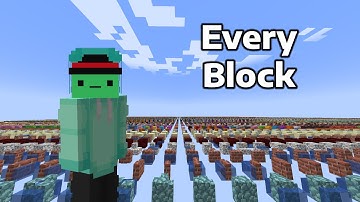 Beating the Minecraft Debug World