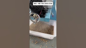 Wet feed extruder, floating fish feed machine, making cat food and dog food, floating fish feed