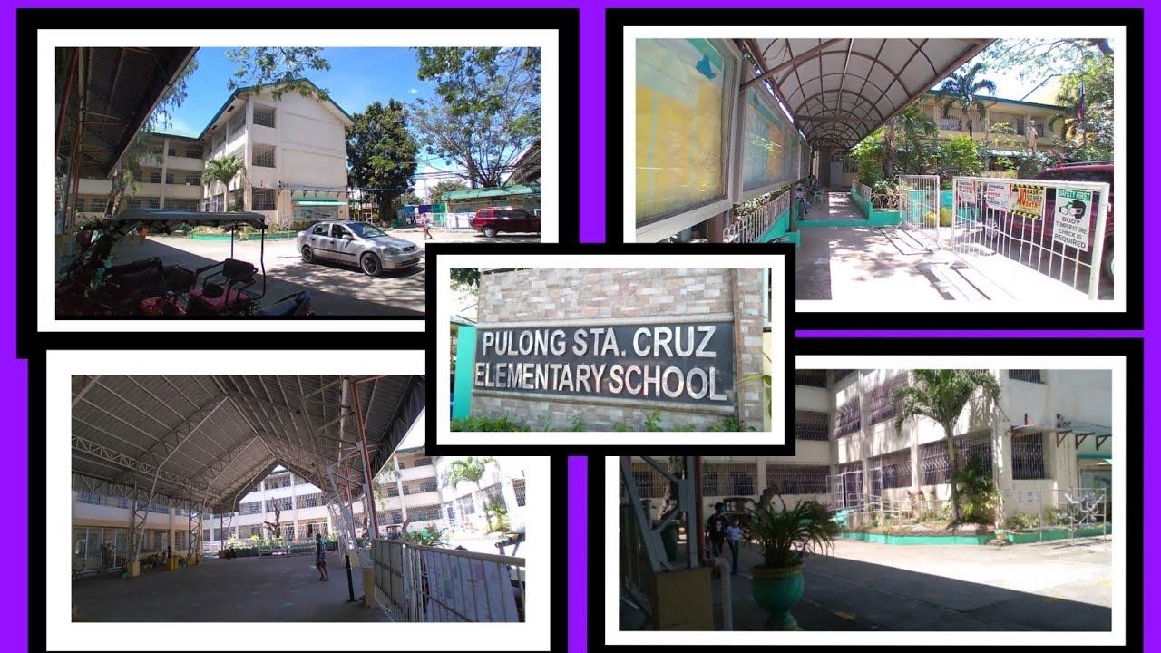 Pulong Sta.Cruz Elementary School
