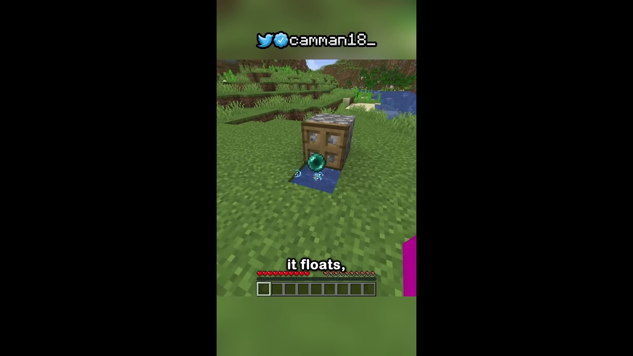 The Enderpearl Stasis Chamber Is Very Good