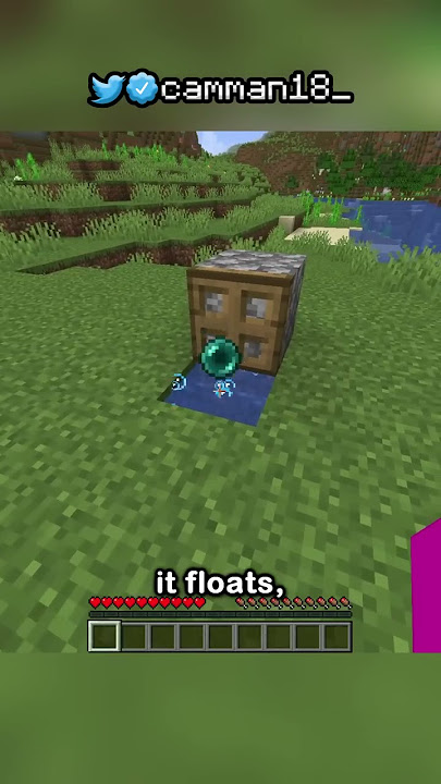 the enderpearl stasis chamber is very good