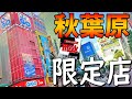 秋葉原にしかないお店を巡ります！【ゆっくりボイス】
