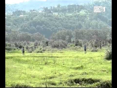 შევინახოთ ჭოროხის დელტა- უცხოელების მონაწილეობით ადლიაში აქცია მოეწყო