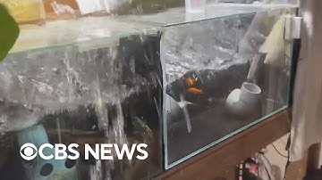 Strong Japan earthquake caught on security cameras