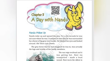 CBSE /Class 4/EVS/Unit 3/A Day With Nandu/detailed answered questions @teacherathome7729