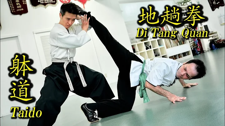 Surprise attack! "Taido" and "Di Tang Quan" ! Get stronger when you lie down on the ground!