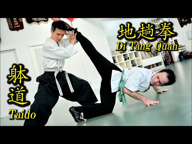 Surprise attack! "Taido" and "Di Tang Quan" ! 【 With Subtitles in 38 Languages】
