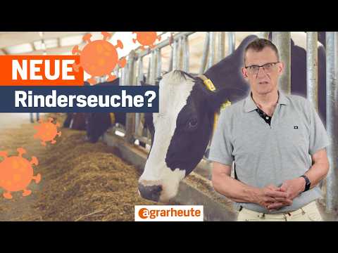 New Virus in Cattle: Schmallenberg-Related Virus Detected