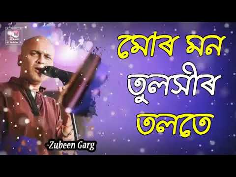 Mor mon Tuloxir tolote asamese aomg new video song zubin Garg video song